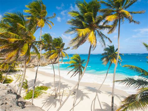 11 of the best things to do in Barbados .